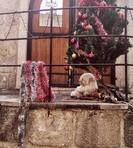 Salkim Cave House Hotel Goreme